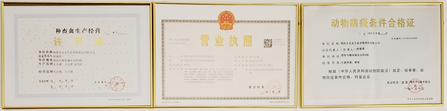 QUALIFICATION AND HONOR