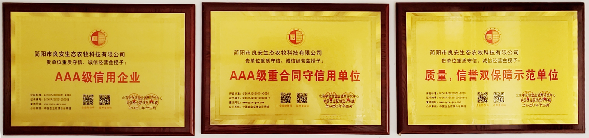 QUALIFICATION AND HONOR