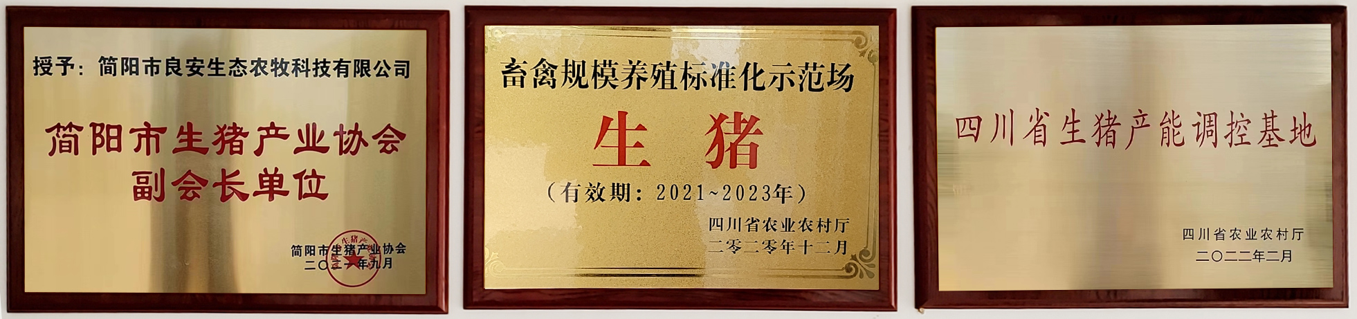 QUALIFICATION AND HONOR
